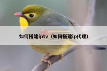 如何搭建iptv(如何搭建ip代理)