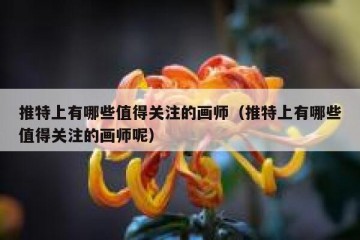 推特上有哪些值得关注的画师（推特上有哪些值得关注的画师呢）