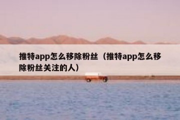 推特app怎么移除粉丝（推特app怎么移除粉丝关注的人）