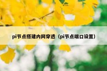 pi节点搭建内网穿透（pi节点端口设置）