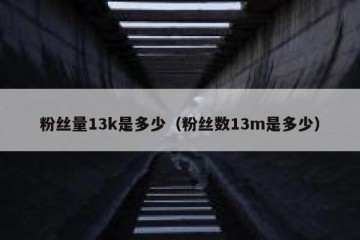 粉丝量13k是多少（粉丝数13m是多少）