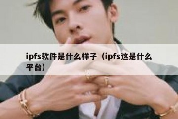 ipfs软件是什么样子(ipfs这是什么平台)