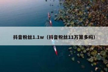 抖音粉丝1.1w（抖音粉丝11万算多吗）