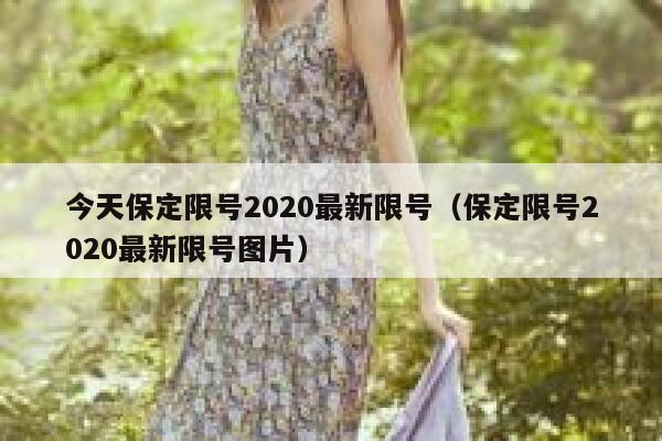 今天保定限号2020最新限号（保定限号2020最新限号图片） 第1张