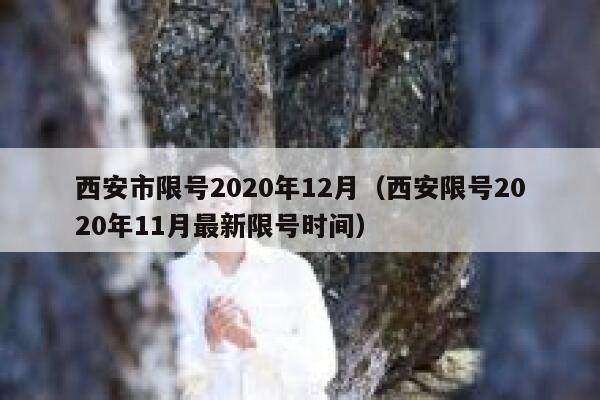 西安市限号2020年12月（西安限号2020年11月最新限号时间） 第1张