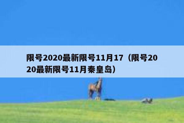 限号2020最新限号11月17（限号2020最新限号11月秦皇岛） 第1张