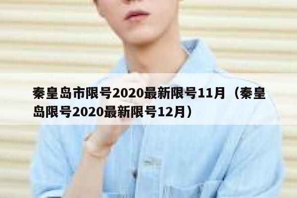秦皇岛市限号2020最新限号11月(秦皇岛限号2020最新限号12月) 第1张 秦皇岛市限号2020最新限号11月(秦皇岛限号2020最新限号12月) 第1张