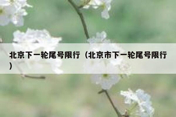 北京下一轮尾号限行（北京市下一轮尾号限行） 第1张
