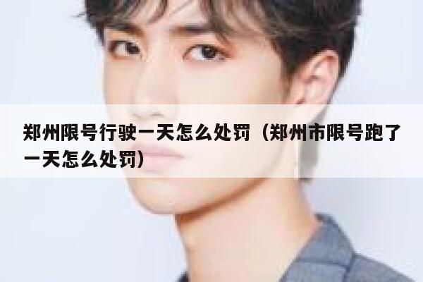 郑州限号行驶一天怎么处罚（郑州市限号跑了一天怎么处罚） 第1张
