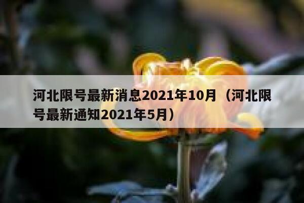 河北限号最新消息2021年10月（河北限号最新通知2021年5月） 第1张