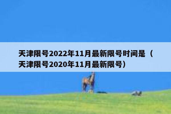 天津限号2022年11月最新限号时间是（天津限号2020年11月最新限号） 第1张