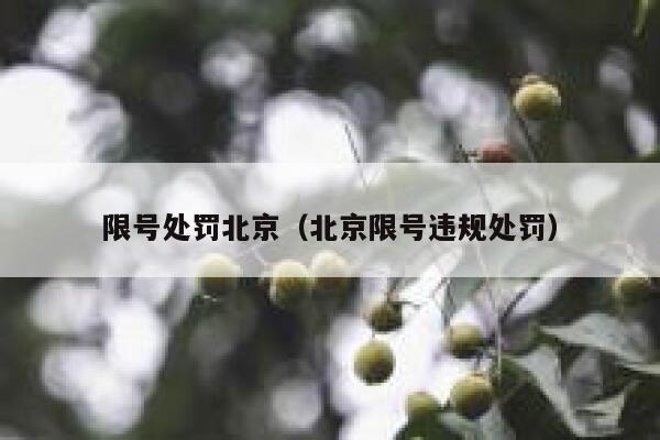限号处罚北京（北京限号违规处罚） 第1张