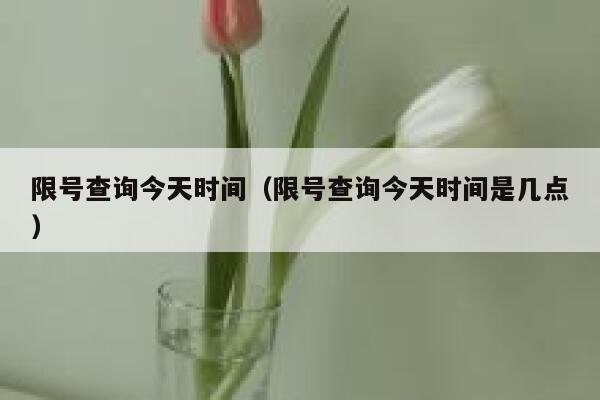 限号查询今天时间（限号查询今天时间是几点） 第1张