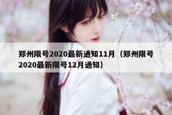 郑州限号2020最新通知11月（郑州限号2020最新限号12月通知） 第1张
