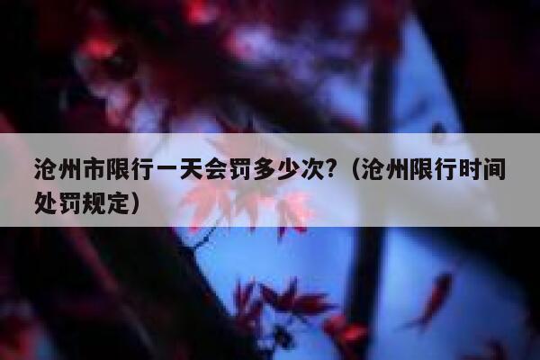 沧州市限行一天会罚多少次?（沧州限行时间处罚规定） 第1张