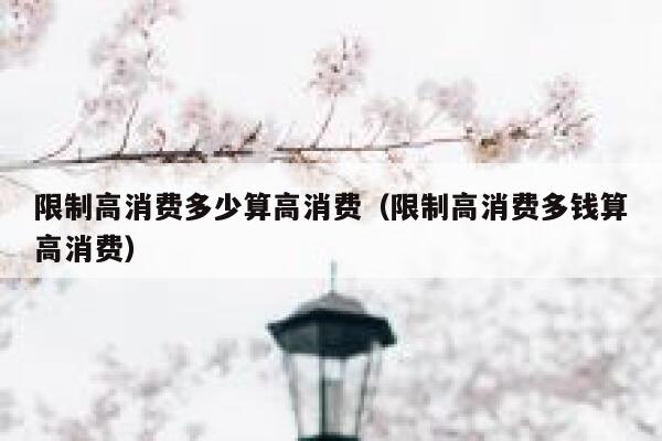 限制高消费多少算高消费（限制高消费多钱算高消费） 第1张
