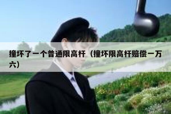 撞坏了一个普通限高杆（撞坏限高杆赔偿一万六） 第1张