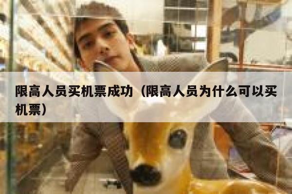 限高人员买机票成功（限高人员为什么可以买机票） 第1张