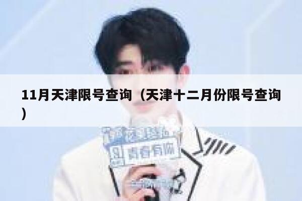 11月天津限号查询（天津十二月份限号查询） 第1张