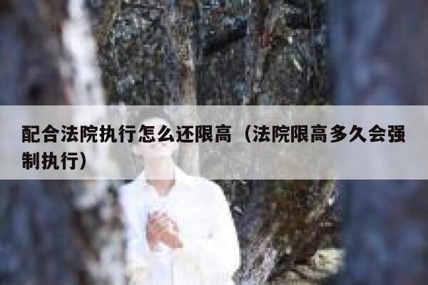 配合法院执行怎么还限高（法院限高多久会强制执行） 第1张