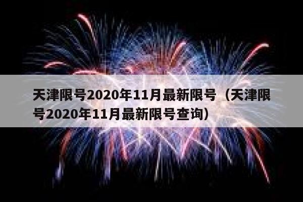 天津限号2020年11月最新限号（天津限号2020年11月最新限号查询） 第1张