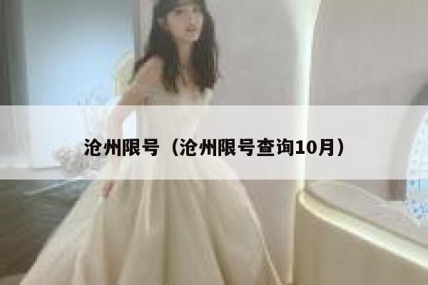 沧州限号（沧州限号查询10月） 第1张