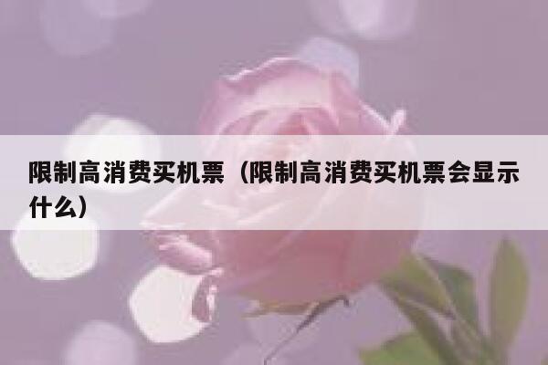 限制高消费买机票（限制高消费买机票会显示什么） 第1张