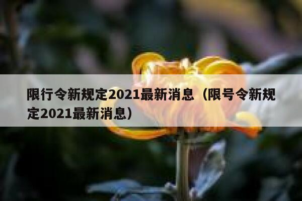 限行令新规定2021最新消息（限号令新规定2021最新消息） 第1张