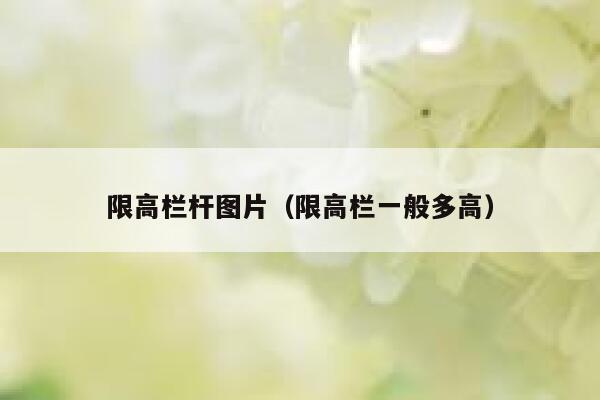 限高栏杆图片（限高栏一般多高） 第1张