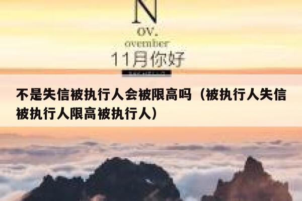 不是失信被执行人会被限高吗（被执行人失信被执行人限高被执行人） 第1张