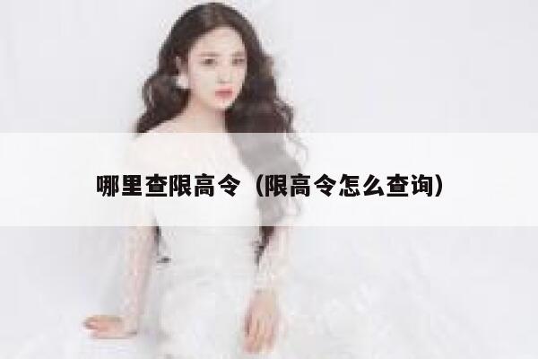 哪里查限高令（限高令怎么查询） 第1张