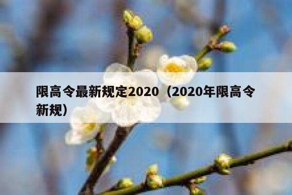 限高令最新规定2020(2020年限高令新规) 第1张 限高令最新规定2020(2020年限高令新规) 第1张