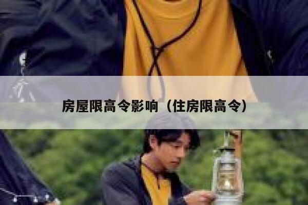 房屋限高令影响（住房限高令） 第1张