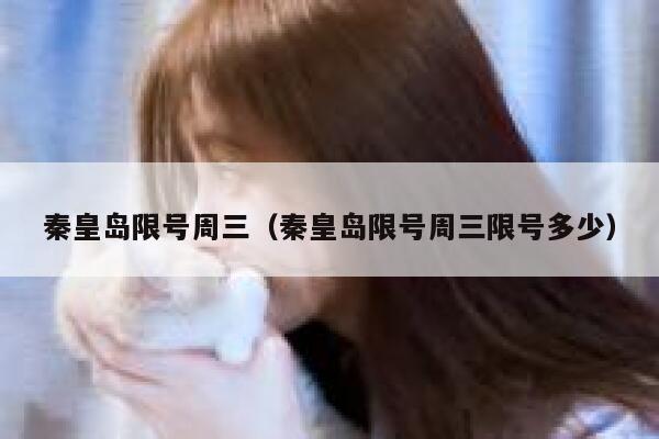 秦皇岛限号周三（秦皇岛限号周三限号多少） 第1张