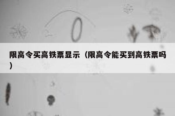 限高令买高铁票显示（限高令能买到高铁票吗） 第1张