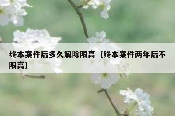 终本案件后多久解除限高（终本案件两年后不限高） 第1张