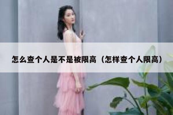 怎么查个人是不是被限高（怎样查个人限高） 第1张