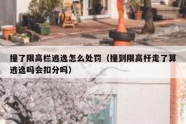 撞了限高栏逃逸怎么处罚（撞到限高杆走了算逃逸吗会扣分吗） 第1张