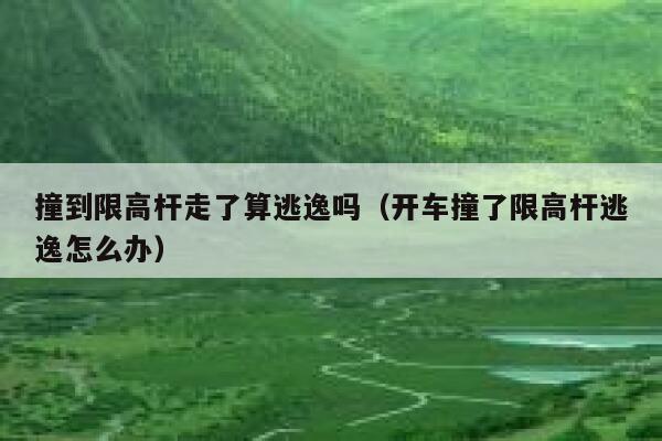 撞到限高杆走了算逃逸吗（开车撞了限高杆逃逸怎么办） 第1张