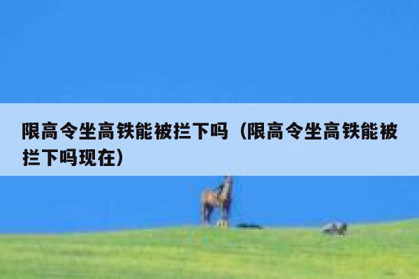 限高令坐高铁能被拦下吗（限高令坐高铁能被拦下吗现在） 第1张