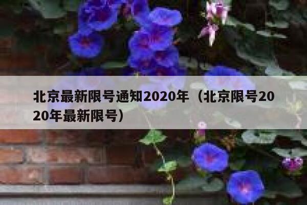 北京最新限号通知2020年（北京限号2020年最新限号） 第1张