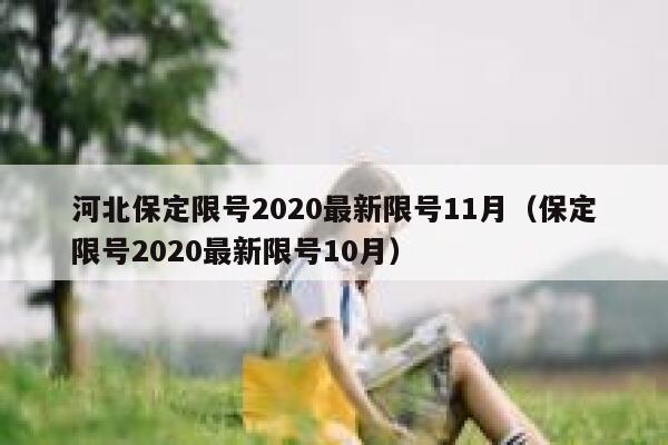 河北保定限号2020最新限号11月（保定限号2020最新限号10月） 第1张