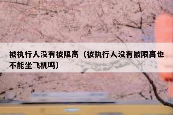 被执行人没有被限高（被执行人没有被限高也不能坐飞机吗） 第1张