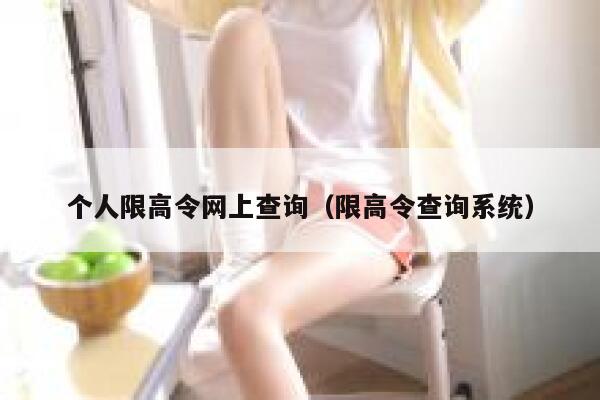 个人限高令网上查询（限高令查询系统） 第1张