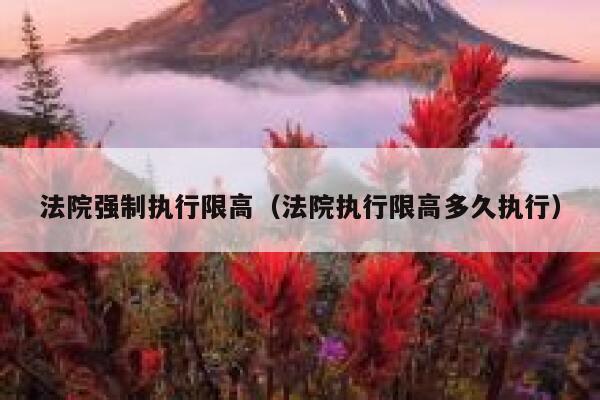 法院强制执行限高（法院执行限高多久执行） 第1张