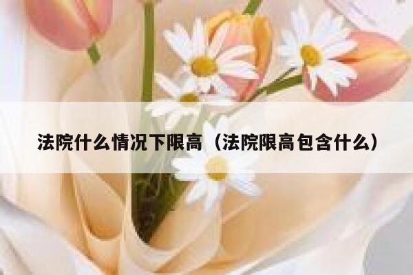 法院什么情况下限高（法院限高包含什么） 第1张