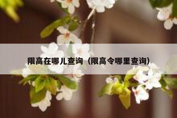 限高在哪儿查询（限高令哪里查询） 第1张