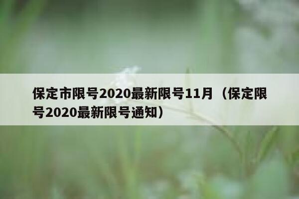 保定市限号2020最新限号11月（保定限号2020最新限号通知） 第1张