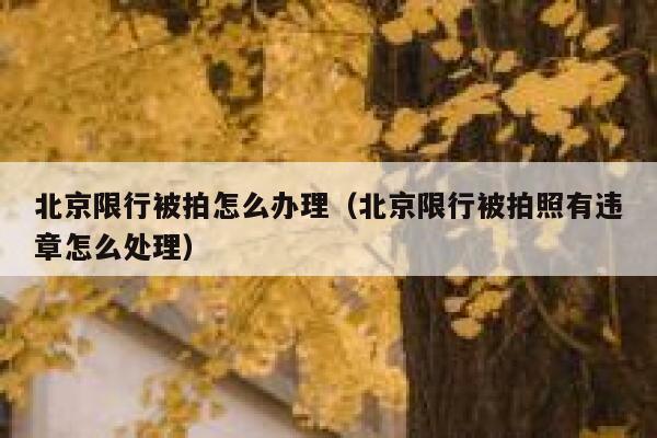 北京限行被拍怎么办理（北京限行被拍照有违章怎么处理） 第1张
