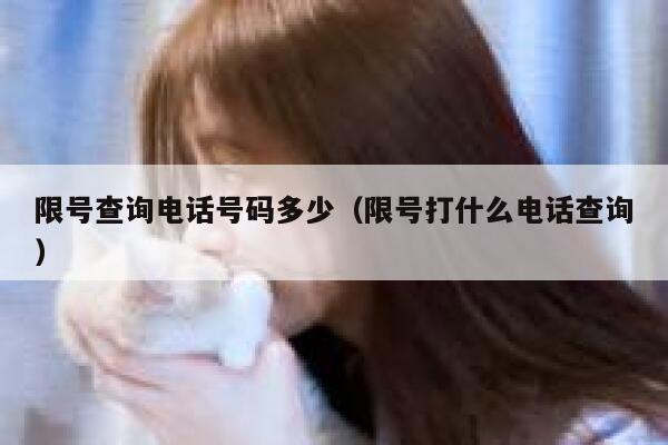 限号查询电话号码多少（限号打什么电话查询） 第1张